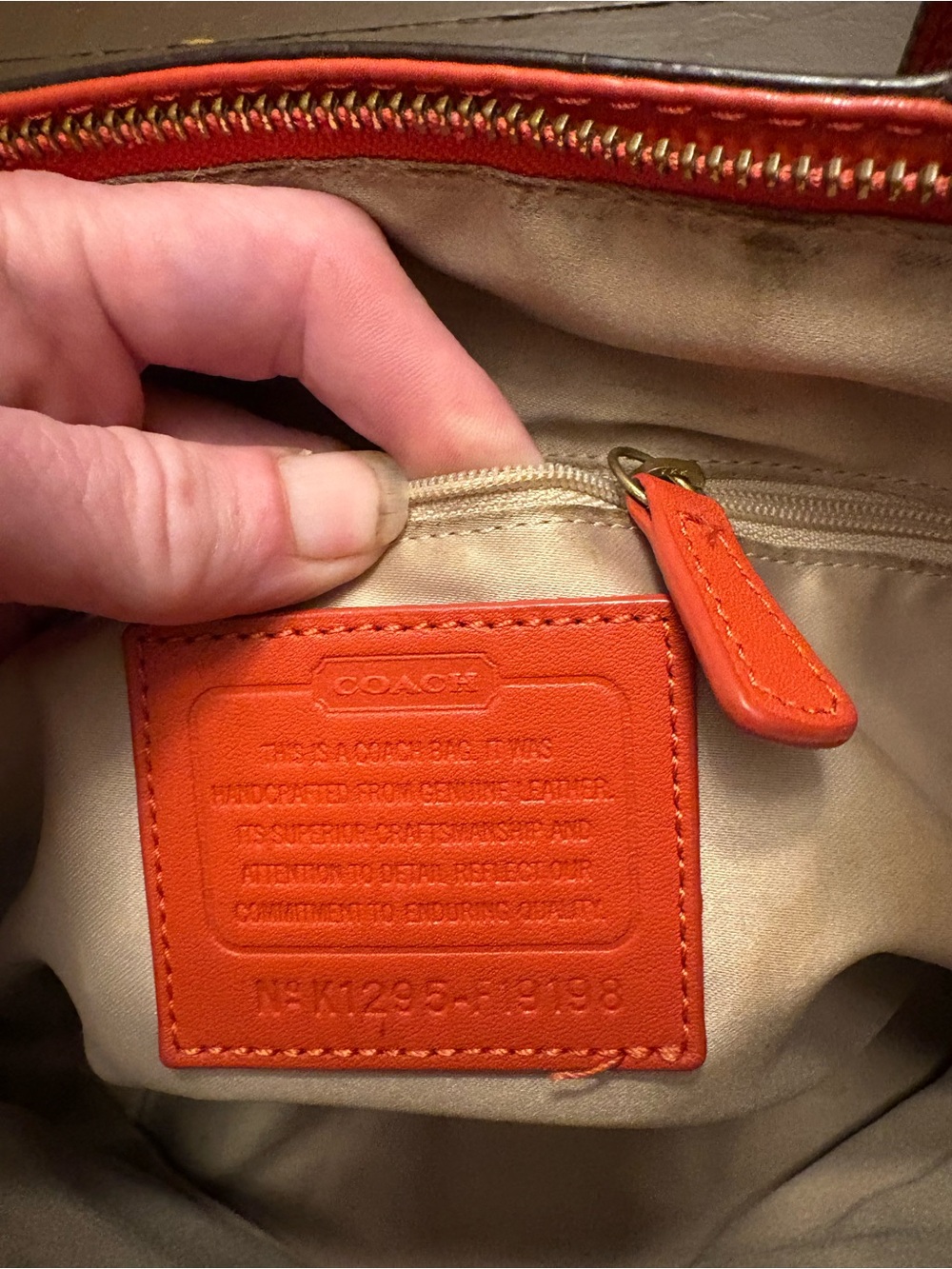 Coach - Picture 5 of 6